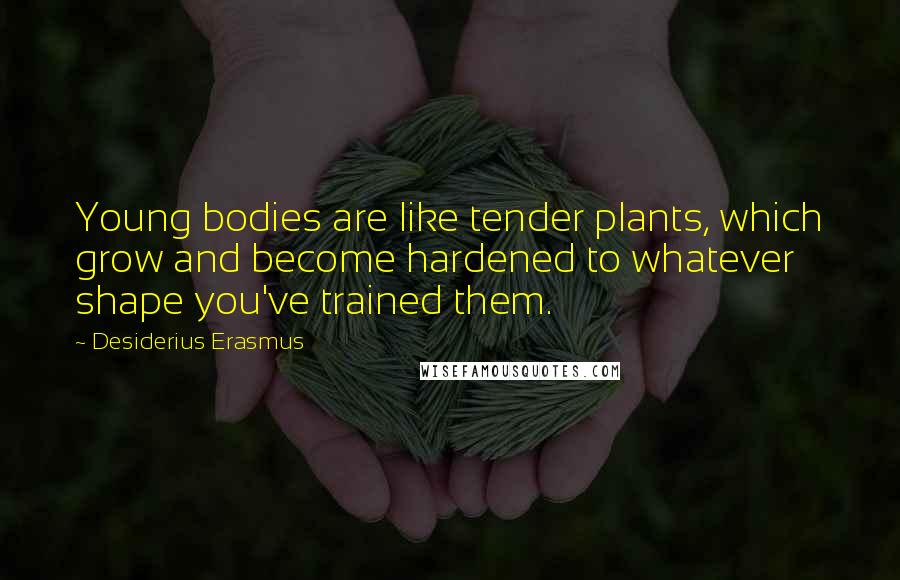 Desiderius Erasmus Quotes: Young bodies are like tender plants, which grow and become hardened to whatever shape you've trained them.