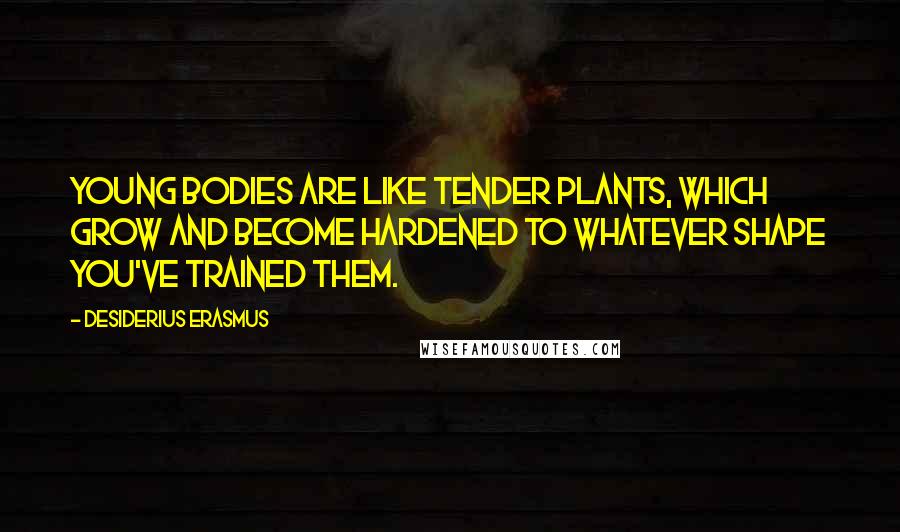 Desiderius Erasmus Quotes: Young bodies are like tender plants, which grow and become hardened to whatever shape you've trained them.