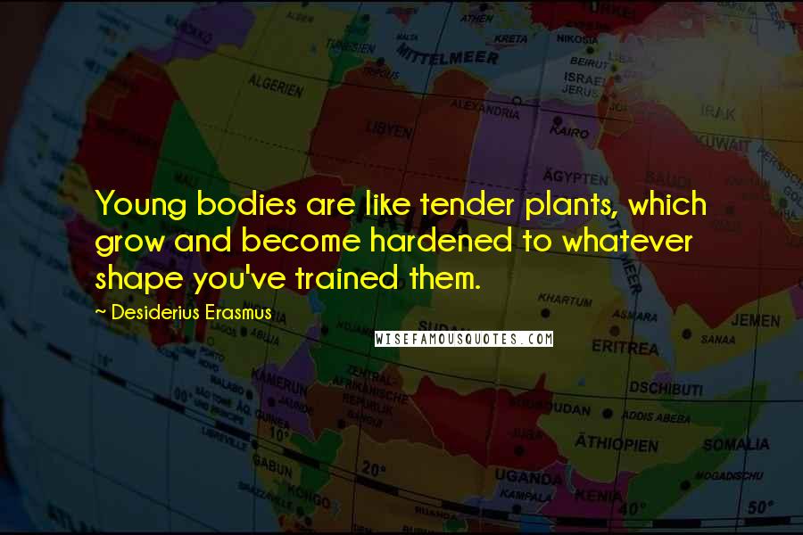 Desiderius Erasmus Quotes: Young bodies are like tender plants, which grow and become hardened to whatever shape you've trained them.