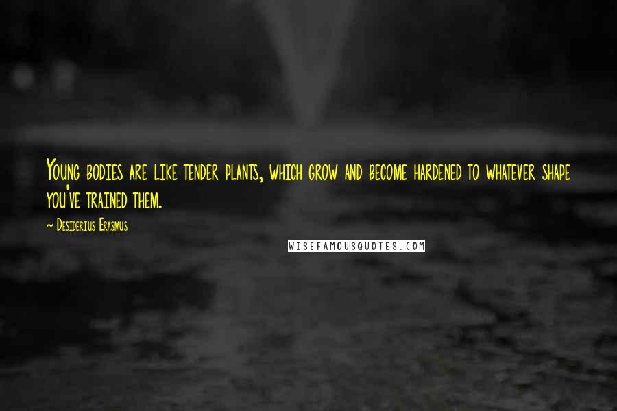 Desiderius Erasmus Quotes: Young bodies are like tender plants, which grow and become hardened to whatever shape you've trained them.