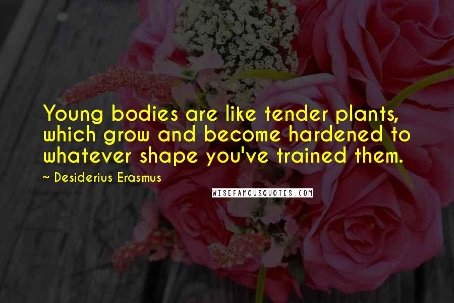 Desiderius Erasmus Quotes: Young bodies are like tender plants, which grow and become hardened to whatever shape you've trained them.