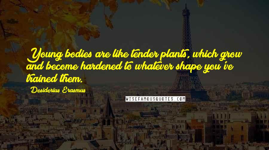 Desiderius Erasmus Quotes: Young bodies are like tender plants, which grow and become hardened to whatever shape you've trained them.