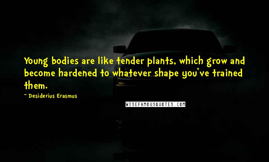 Desiderius Erasmus Quotes: Young bodies are like tender plants, which grow and become hardened to whatever shape you've trained them.