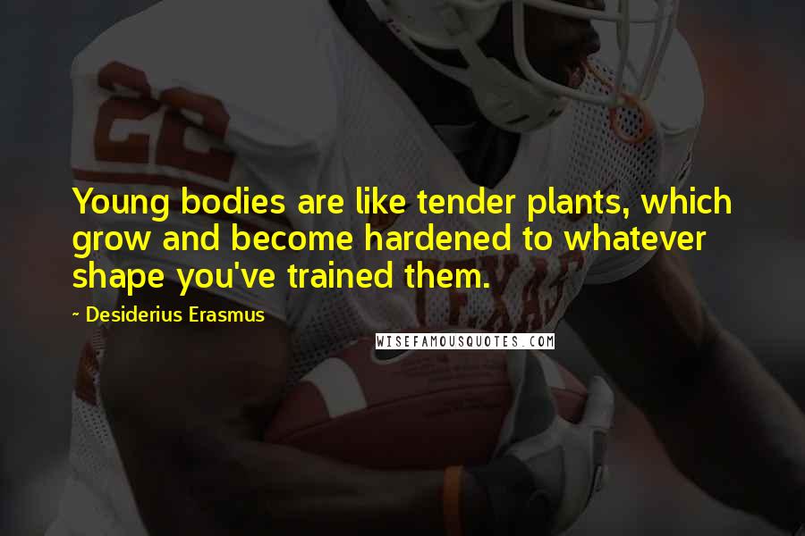 Desiderius Erasmus Quotes: Young bodies are like tender plants, which grow and become hardened to whatever shape you've trained them.