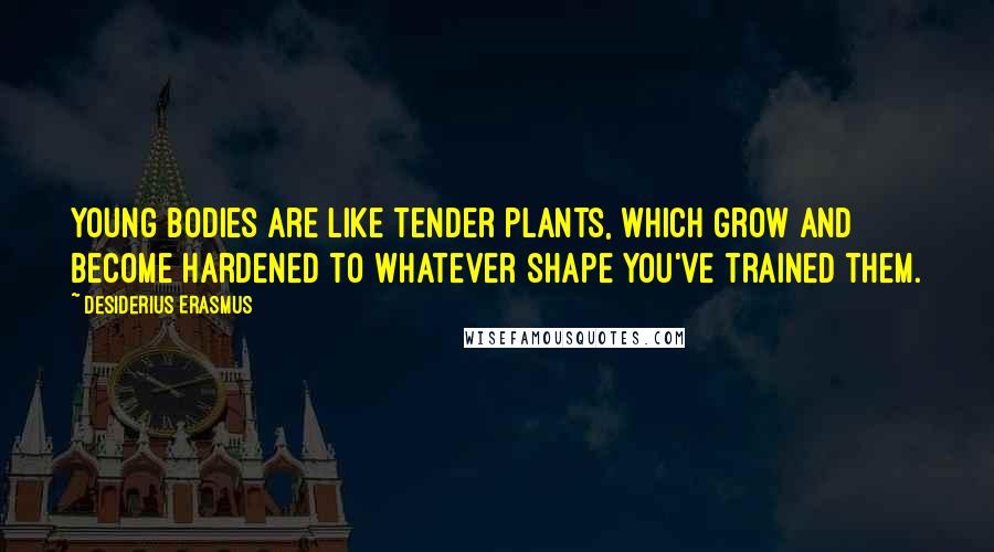 Desiderius Erasmus Quotes: Young bodies are like tender plants, which grow and become hardened to whatever shape you've trained them.