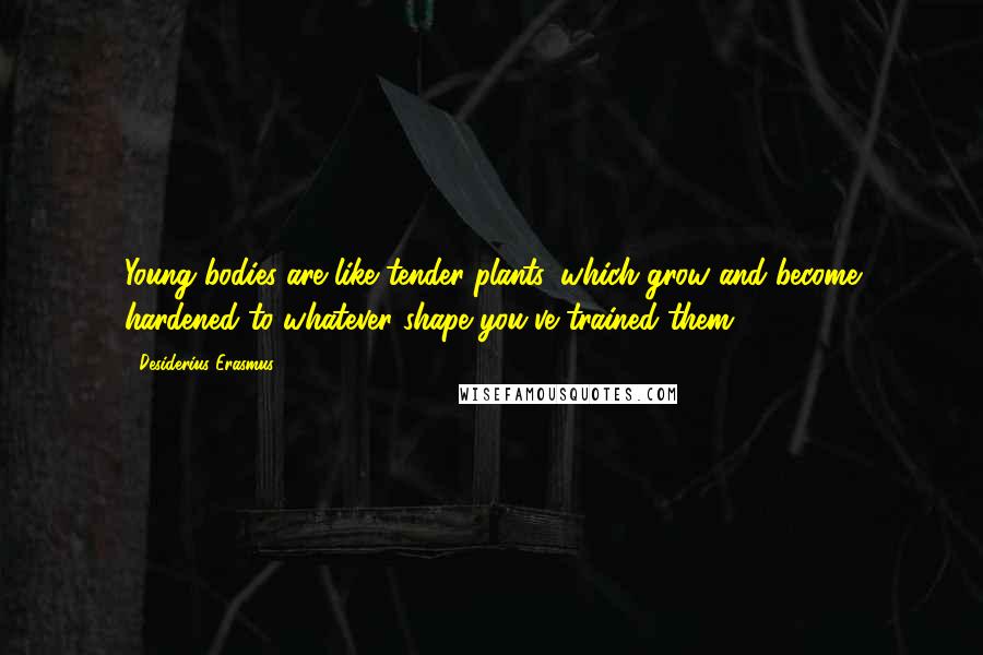 Desiderius Erasmus Quotes: Young bodies are like tender plants, which grow and become hardened to whatever shape you've trained them.