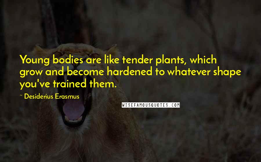 Desiderius Erasmus Quotes: Young bodies are like tender plants, which grow and become hardened to whatever shape you've trained them.