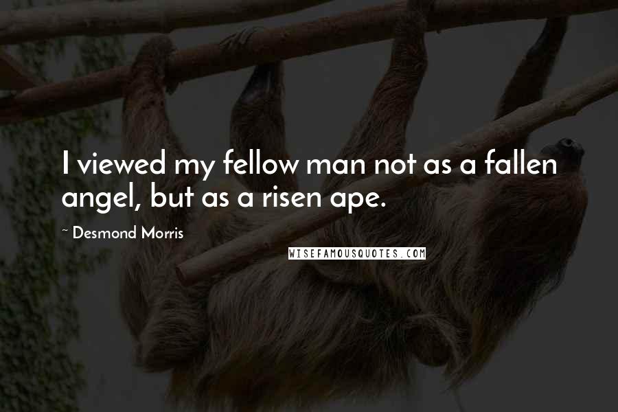 Desmond Morris Quotes: I viewed my fellow man not as a fallen angel, but as a risen ape.