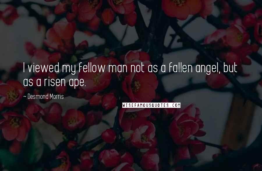 Desmond Morris Quotes: I viewed my fellow man not as a fallen angel, but as a risen ape.