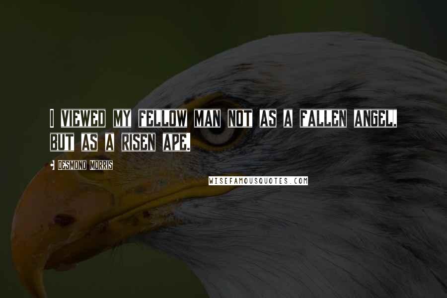 Desmond Morris Quotes: I viewed my fellow man not as a fallen angel, but as a risen ape.