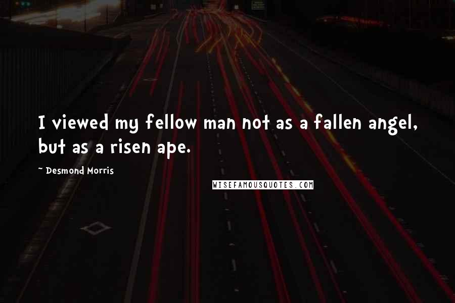 Desmond Morris Quotes: I viewed my fellow man not as a fallen angel, but as a risen ape.