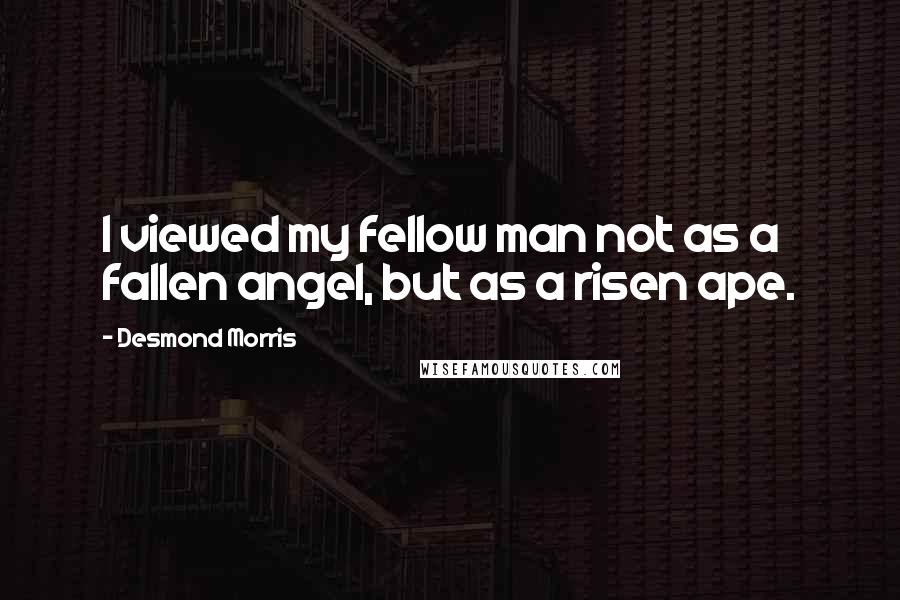 Desmond Morris Quotes: I viewed my fellow man not as a fallen angel, but as a risen ape.