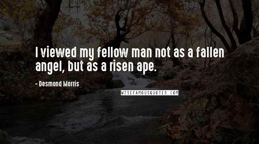 Desmond Morris Quotes: I viewed my fellow man not as a fallen angel, but as a risen ape.