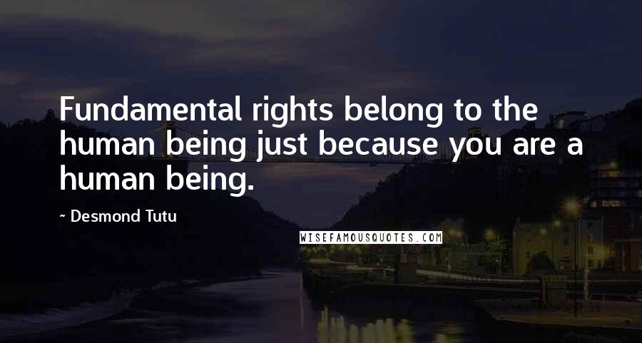 Desmond Tutu Quotes: Fundamental rights belong to the human being just because you are a human being.