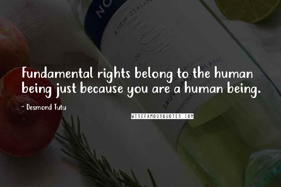 Desmond Tutu Quotes: Fundamental rights belong to the human being just because you are a human being.