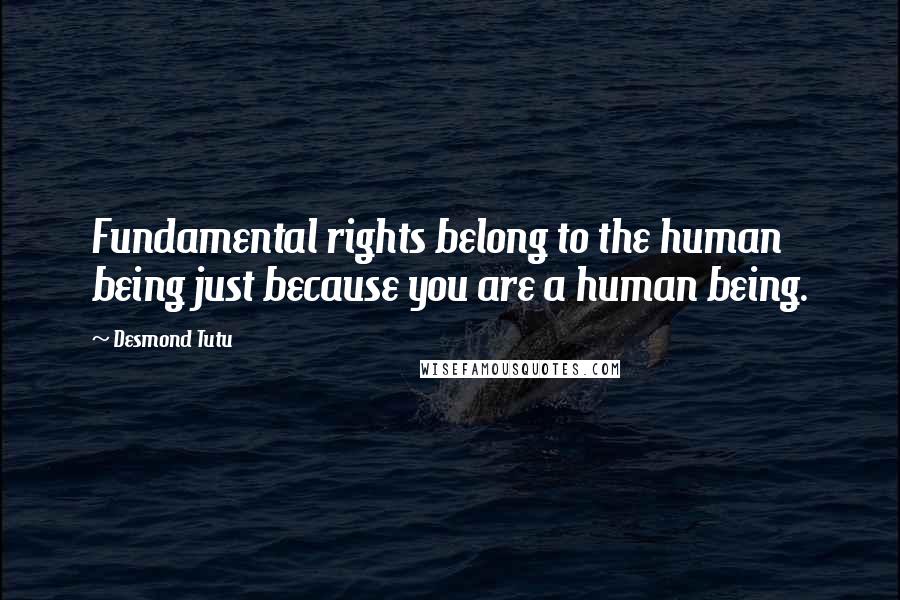 Desmond Tutu Quotes: Fundamental rights belong to the human being just because you are a human being.