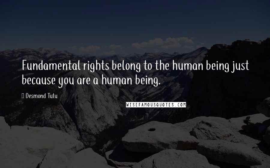 Desmond Tutu Quotes: Fundamental rights belong to the human being just because you are a human being.