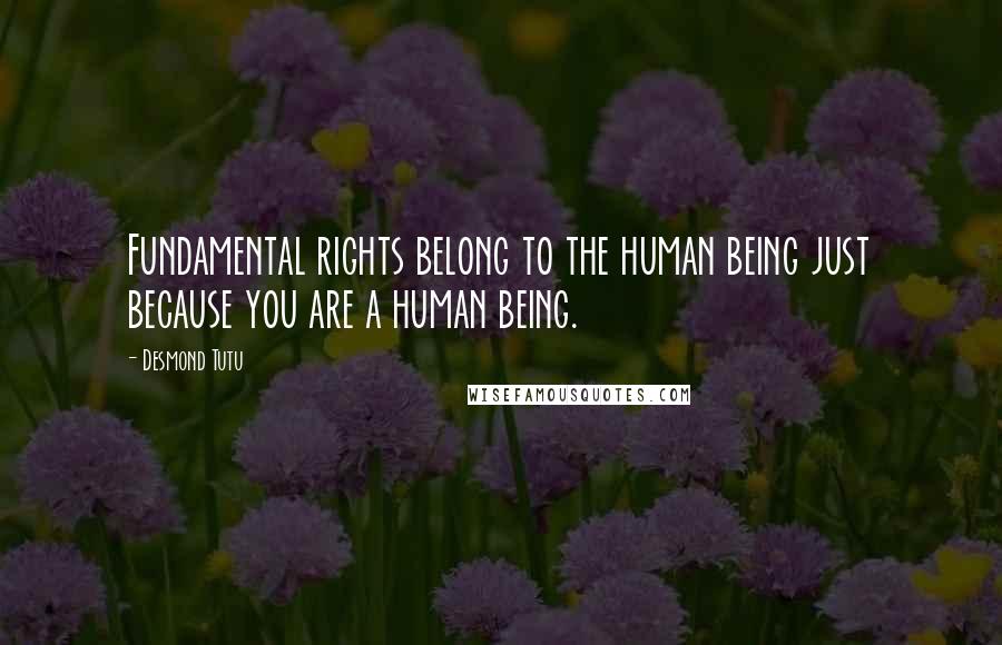 Desmond Tutu Quotes: Fundamental rights belong to the human being just because you are a human being.