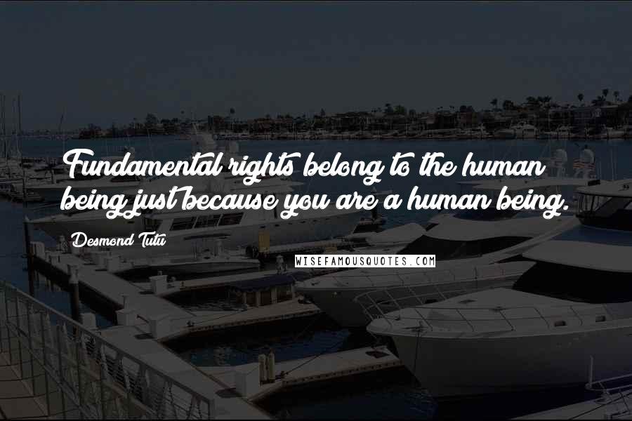 Desmond Tutu Quotes: Fundamental rights belong to the human being just because you are a human being.