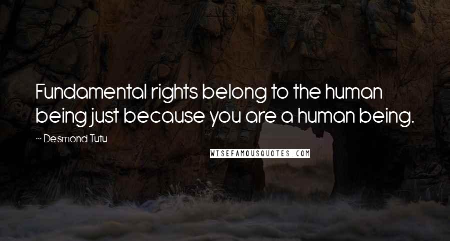 Desmond Tutu Quotes: Fundamental rights belong to the human being just because you are a human being.