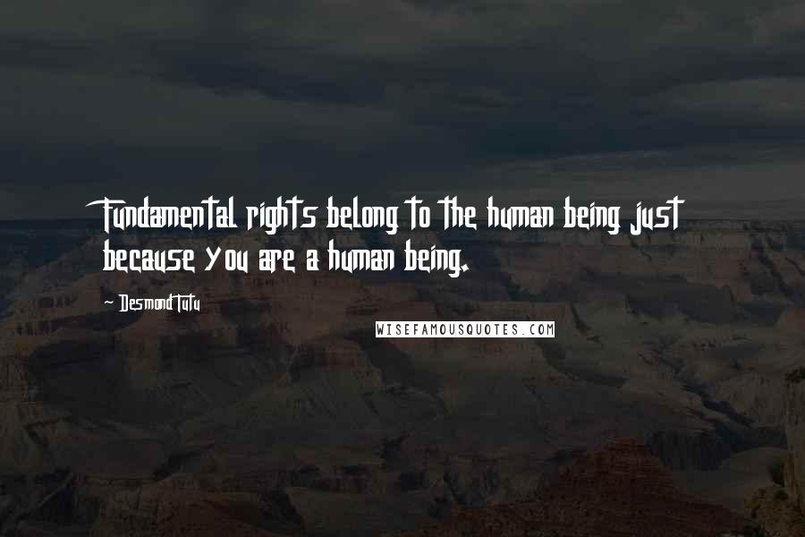 Desmond Tutu Quotes: Fundamental rights belong to the human being just because you are a human being.