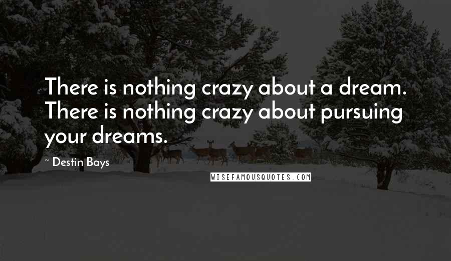 Destin Bays Quotes: There is nothing crazy about a dream. There is nothing crazy about pursuing your dreams.