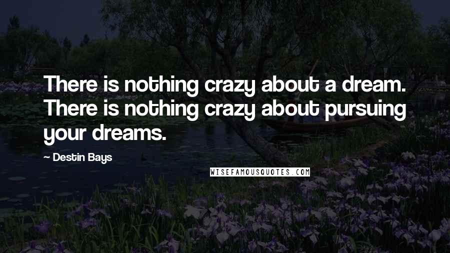 Destin Bays Quotes: There is nothing crazy about a dream. There is nothing crazy about pursuing your dreams.