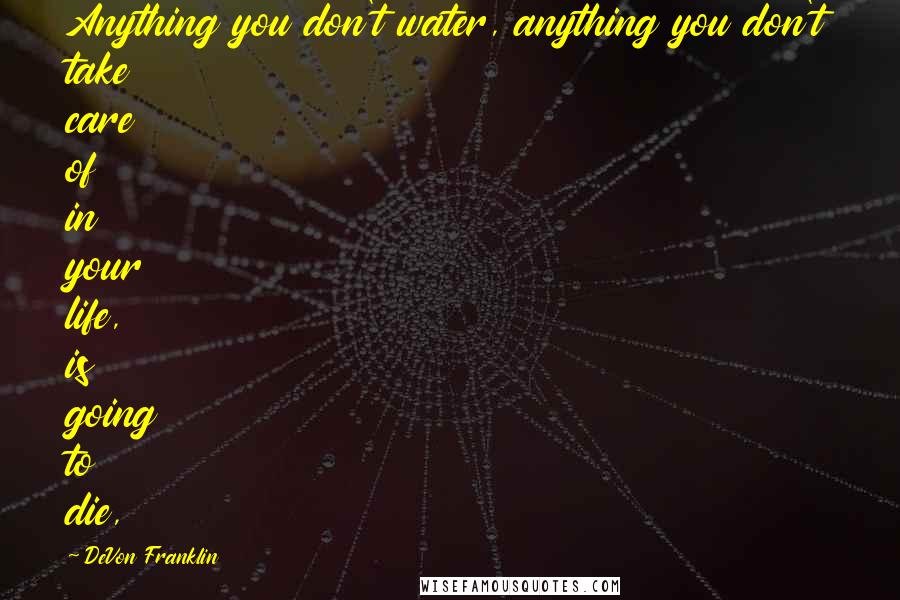 DeVon Franklin Quotes: Anything you don't water, anything you don't take care of in your life, is going to die,