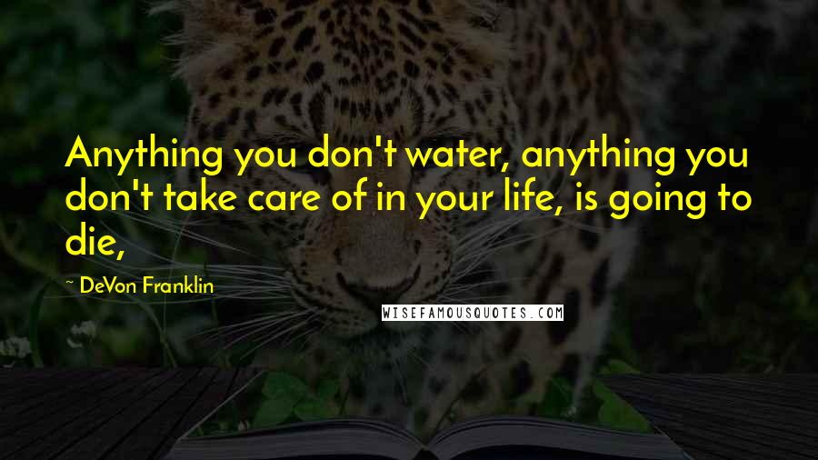 DeVon Franklin Quotes: Anything you don't water, anything you don't take care of in your life, is going to die,