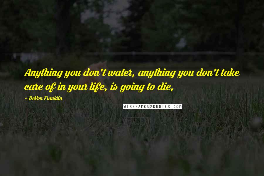 DeVon Franklin Quotes: Anything you don't water, anything you don't take care of in your life, is going to die,