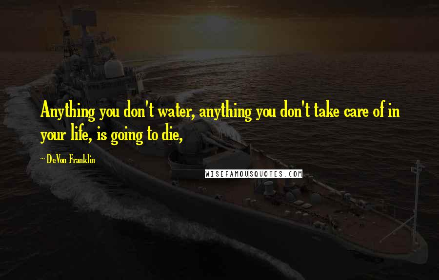 DeVon Franklin Quotes: Anything you don't water, anything you don't take care of in your life, is going to die,