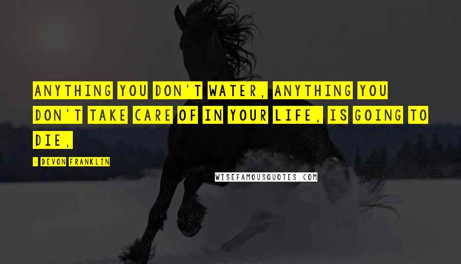 DeVon Franklin Quotes: Anything you don't water, anything you don't take care of in your life, is going to die,