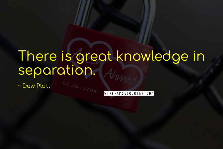 Dew Platt Quotes: There is great knowledge in separation.