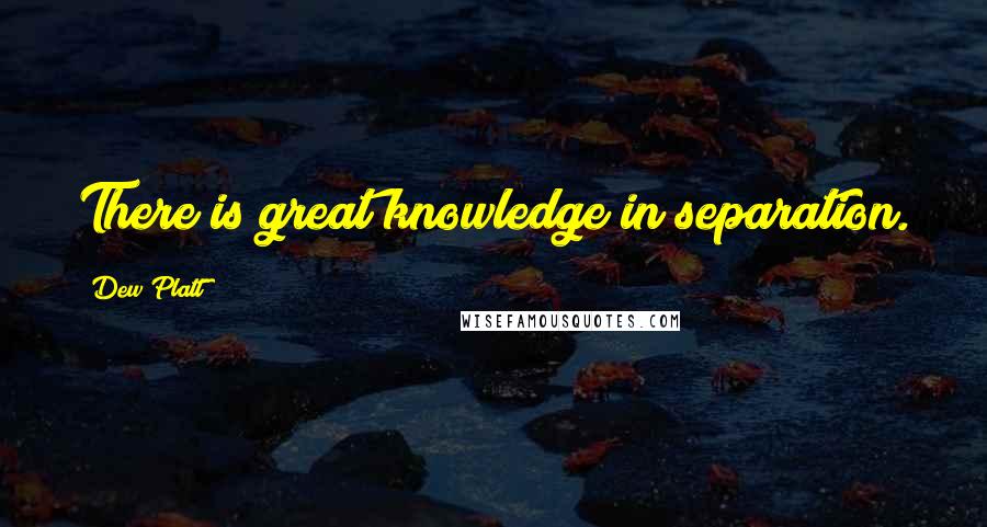 Dew Platt Quotes: There is great knowledge in separation.
