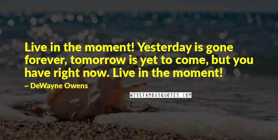 DeWayne Owens Quotes: Live in the moment! Yesterday is gone forever, tomorrow is yet to come, but you have right now. Live in the moment!