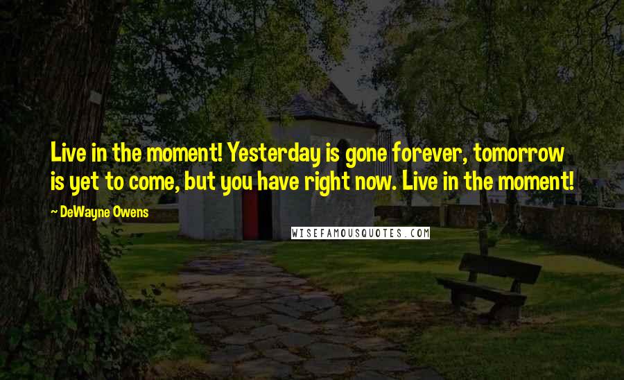 DeWayne Owens Quotes: Live in the moment! Yesterday is gone forever, tomorrow is yet to come, but you have right now. Live in the moment!