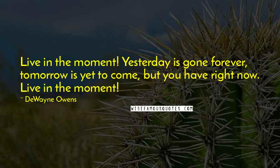 DeWayne Owens Quotes: Live in the moment! Yesterday is gone forever, tomorrow is yet to come, but you have right now. Live in the moment!