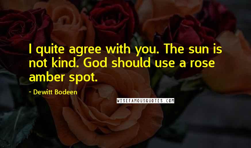 Dewitt Bodeen Quotes: I quite agree with you. The sun is not kind. God should use a rose amber spot.