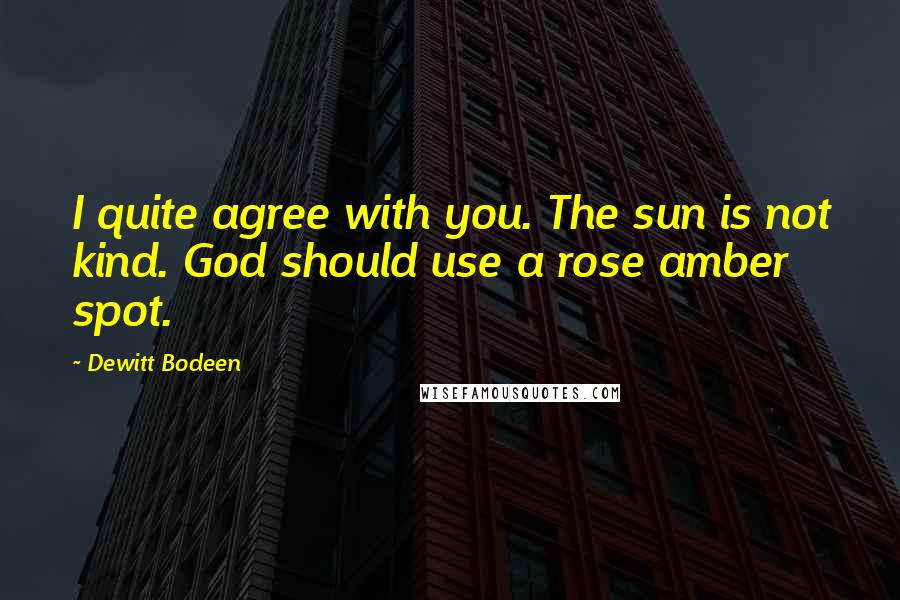 Dewitt Bodeen Quotes: I quite agree with you. The sun is not kind. God should use a rose amber spot.