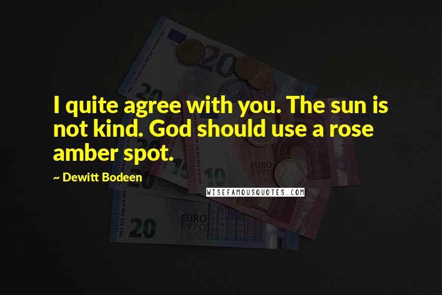 Dewitt Bodeen Quotes: I quite agree with you. The sun is not kind. God should use a rose amber spot.