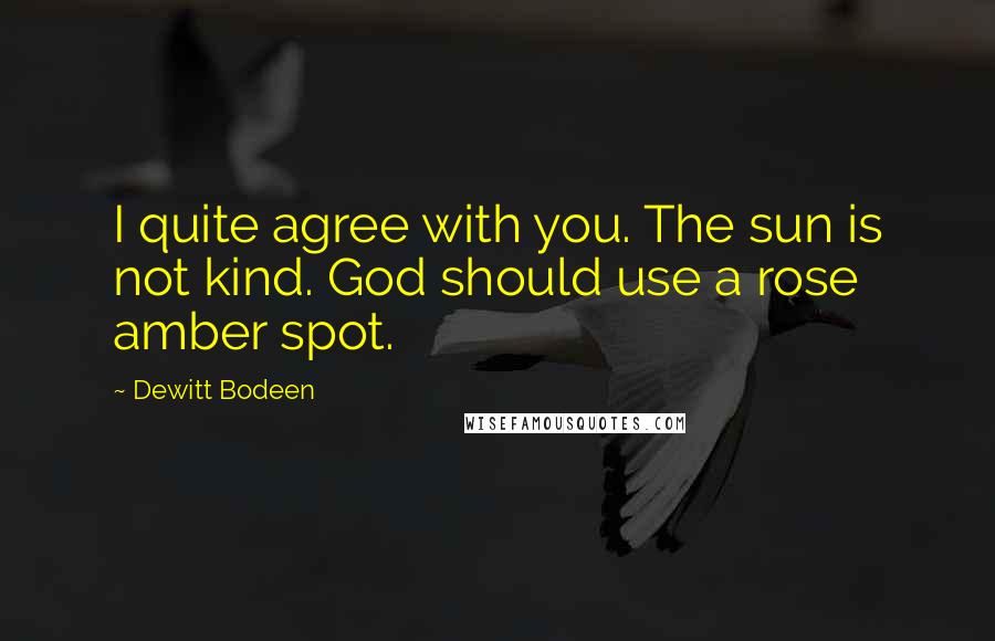 Dewitt Bodeen Quotes: I quite agree with you. The sun is not kind. God should use a rose amber spot.