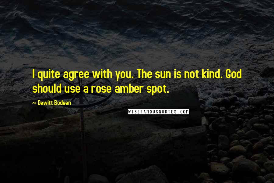 Dewitt Bodeen Quotes: I quite agree with you. The sun is not kind. God should use a rose amber spot.