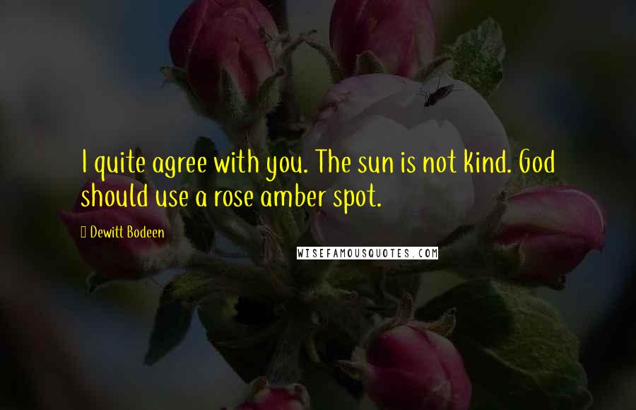 Dewitt Bodeen Quotes: I quite agree with you. The sun is not kind. God should use a rose amber spot.