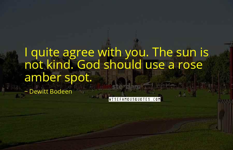 Dewitt Bodeen Quotes: I quite agree with you. The sun is not kind. God should use a rose amber spot.