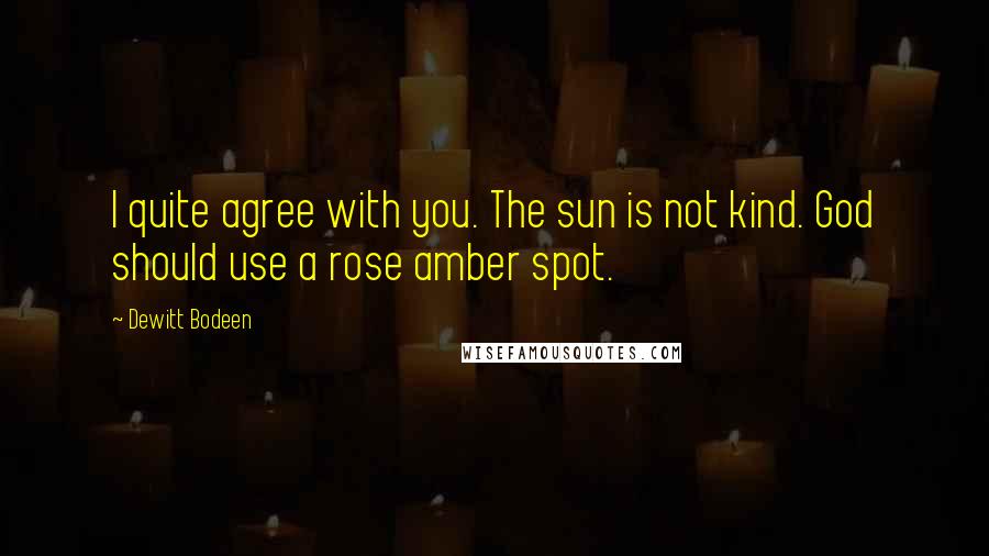 Dewitt Bodeen Quotes: I quite agree with you. The sun is not kind. God should use a rose amber spot.