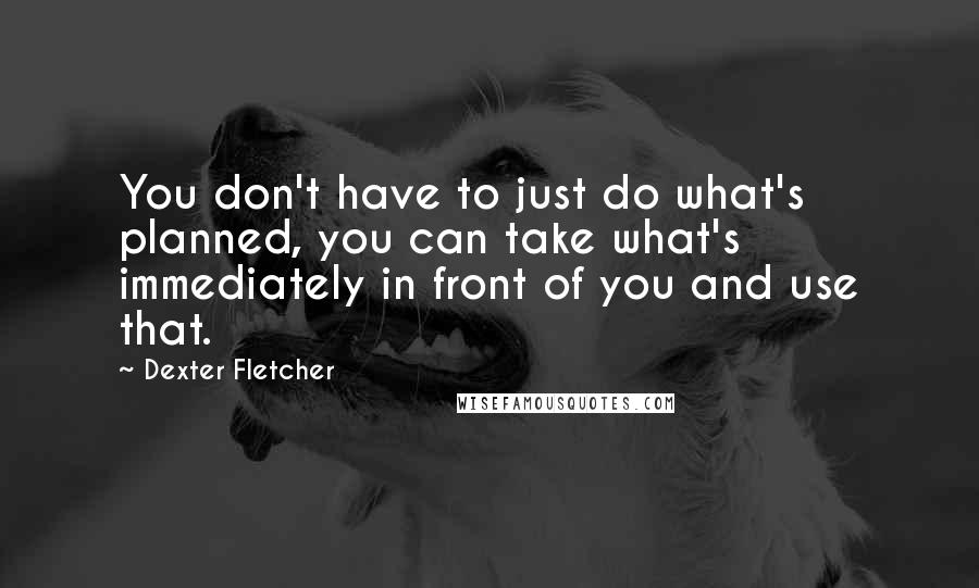 Dexter Fletcher Quotes: You don't have to just do what's planned, you can take what's immediately in front of you and use that.