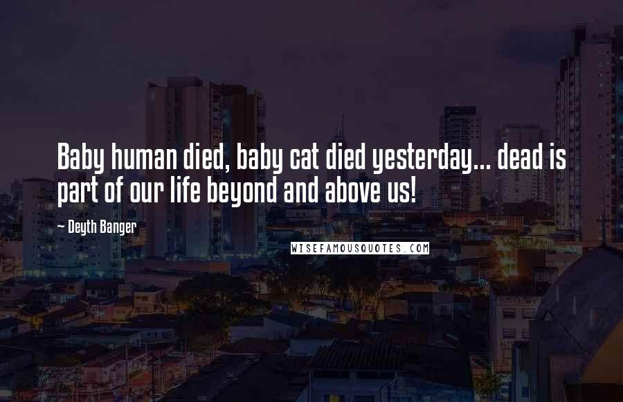 Deyth Banger Quotes: Baby human died, baby cat died yesterday... dead is part of our life beyond and above us!
