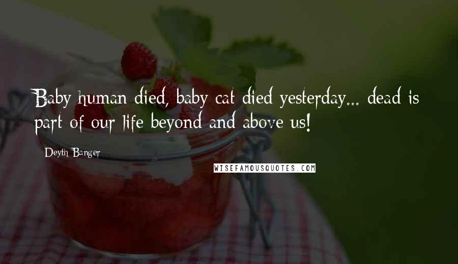Deyth Banger Quotes: Baby human died, baby cat died yesterday... dead is part of our life beyond and above us!