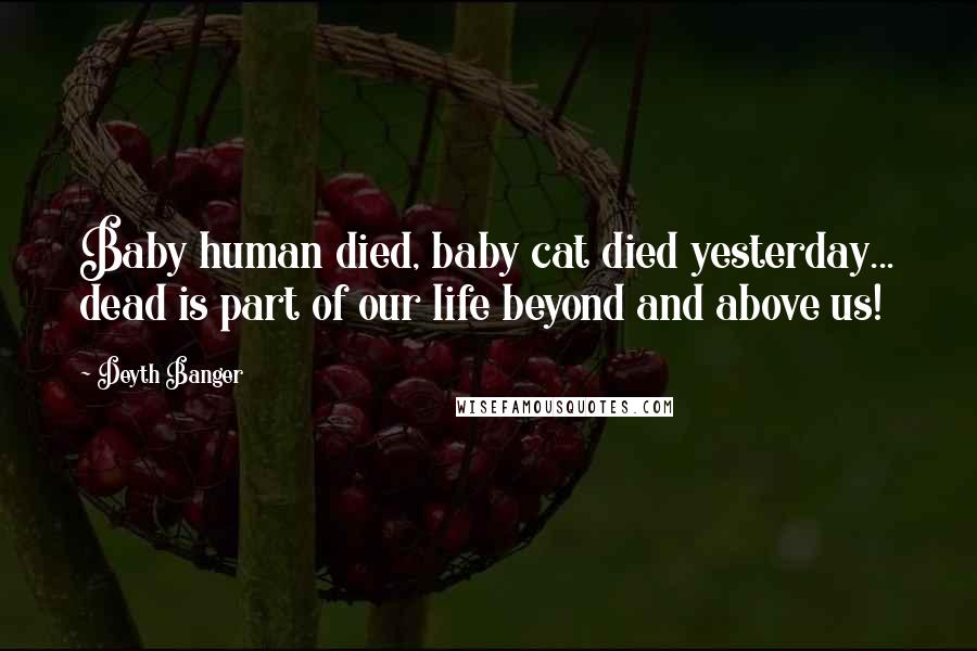 Deyth Banger Quotes: Baby human died, baby cat died yesterday... dead is part of our life beyond and above us!