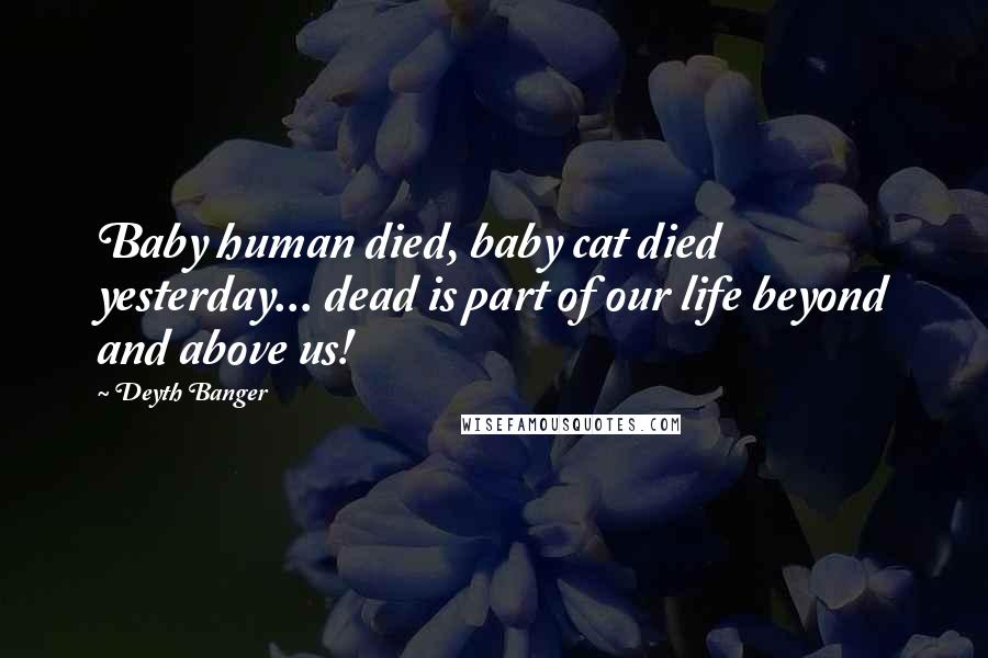 Deyth Banger Quotes: Baby human died, baby cat died yesterday... dead is part of our life beyond and above us!